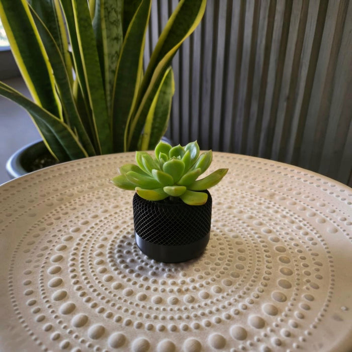 Mesh Planter
