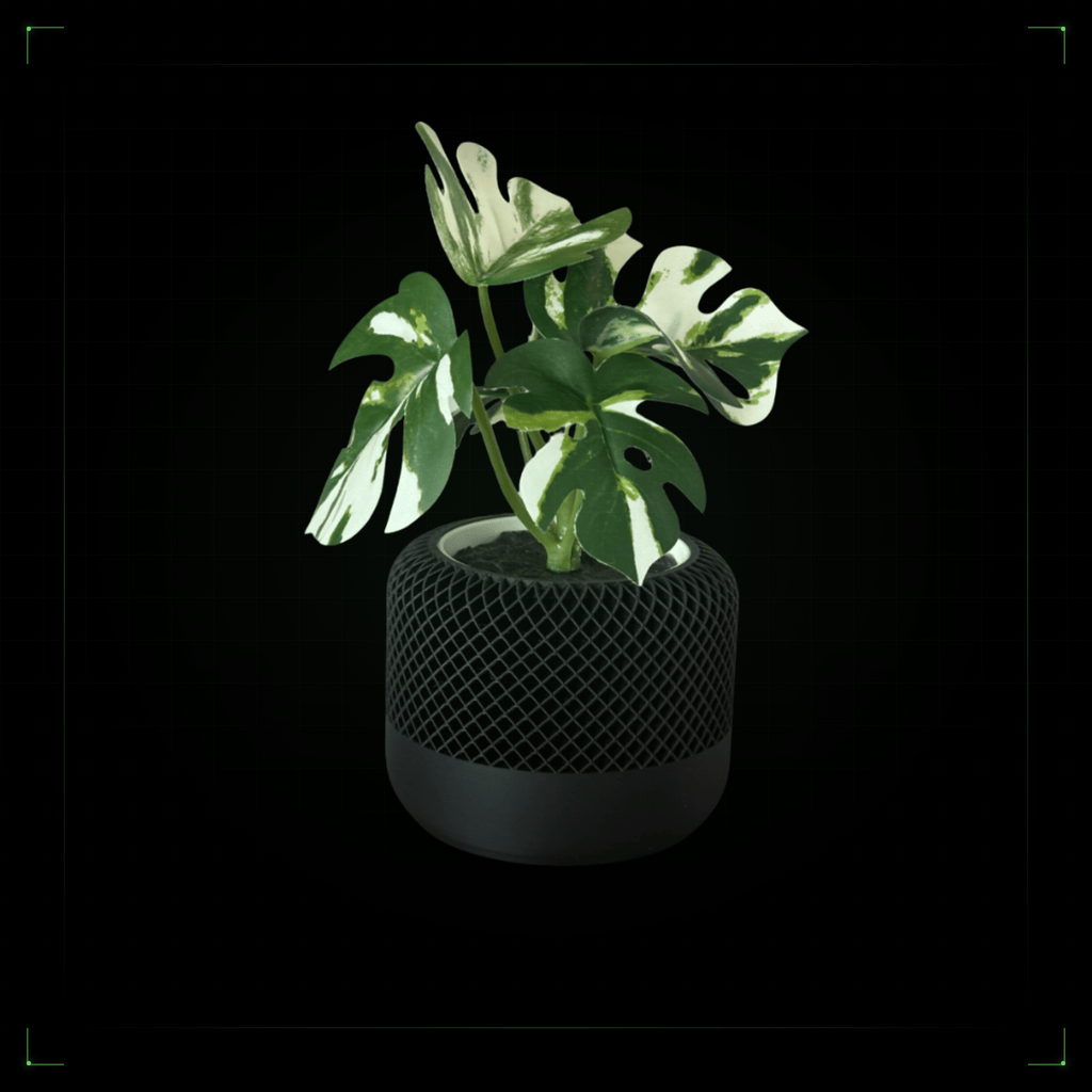 Mesh Planter - nFusion