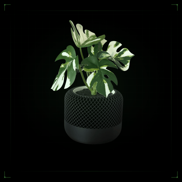 Mesh Planter - nFusion