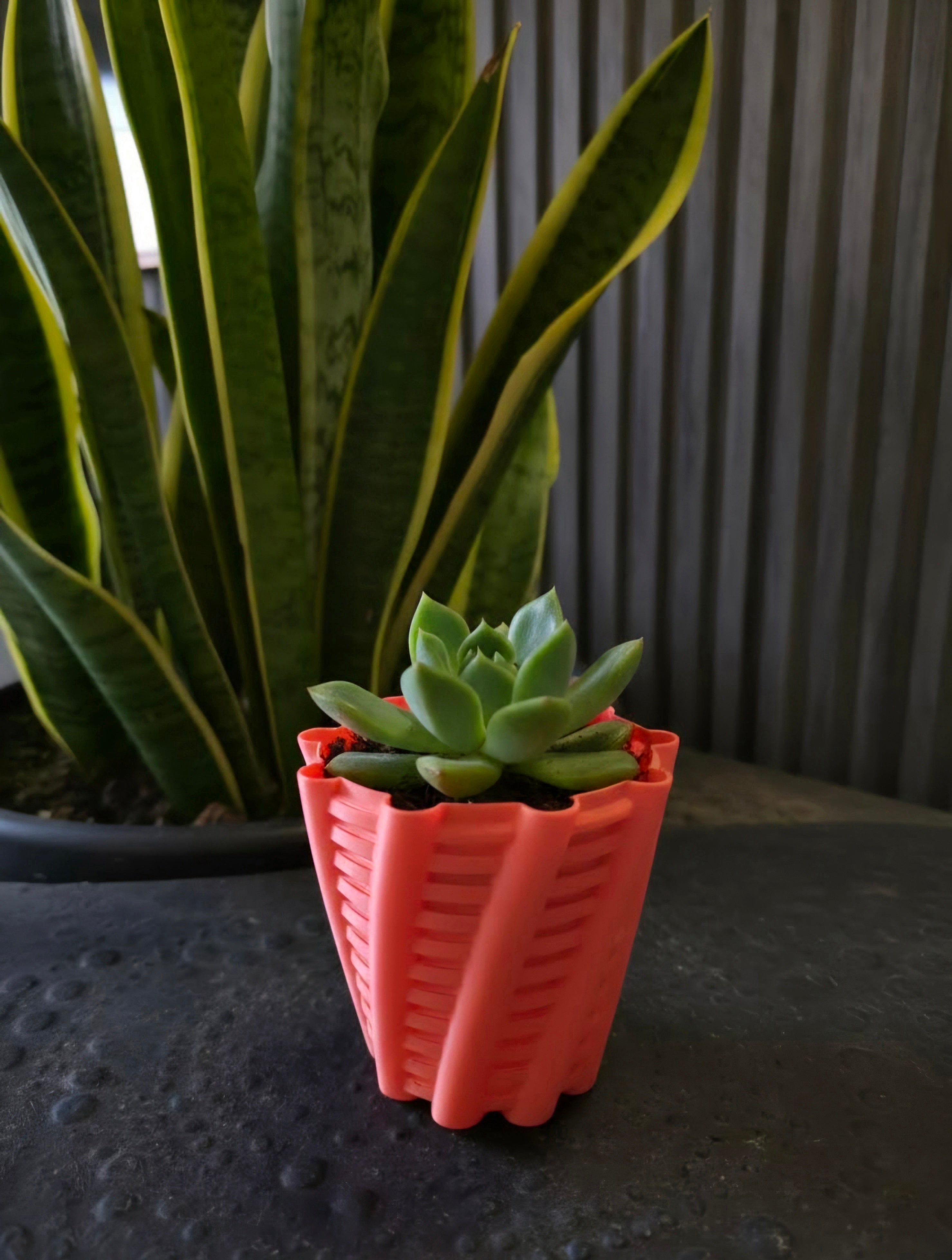 Twist Planter