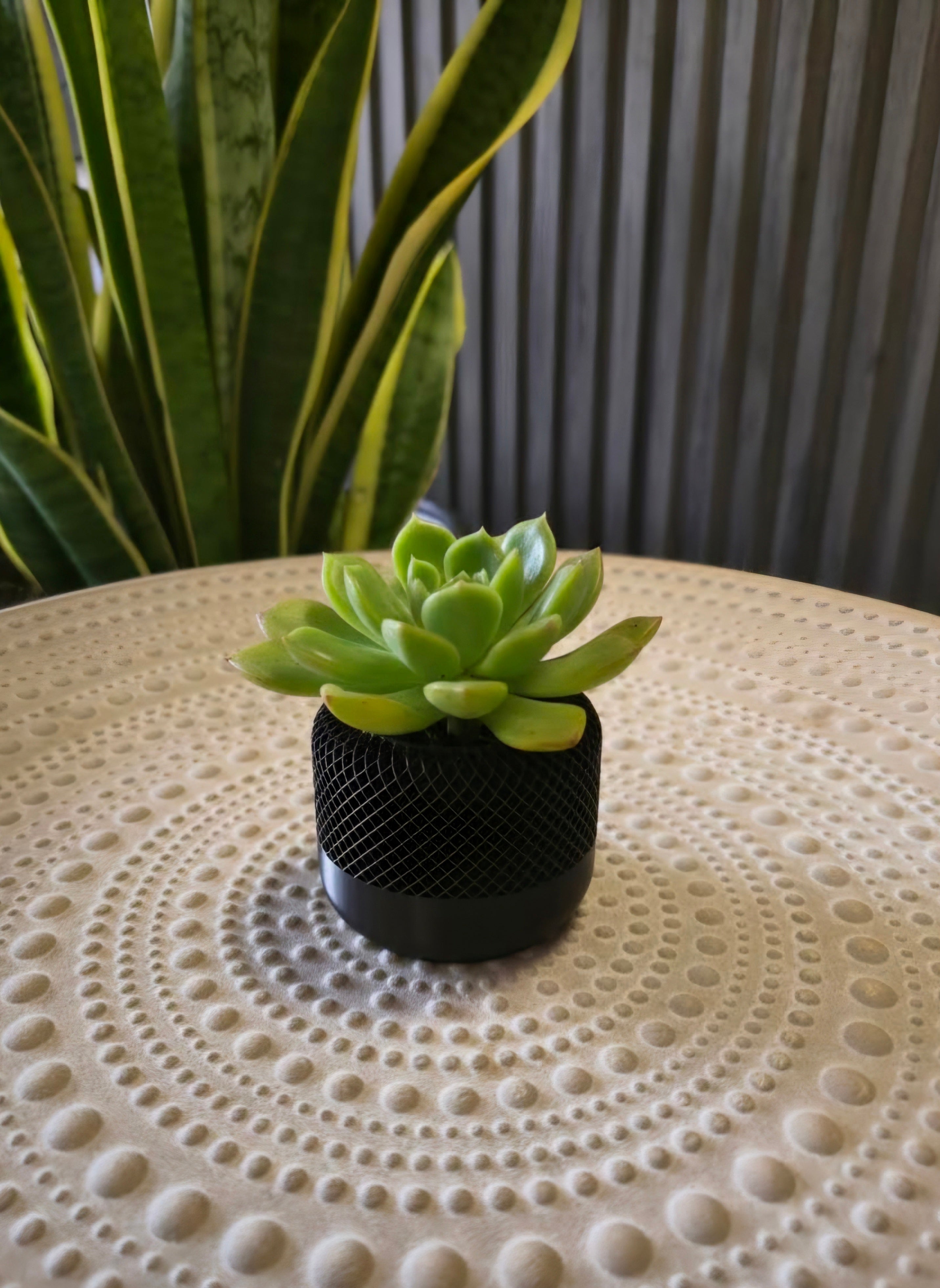 Mesh Planter