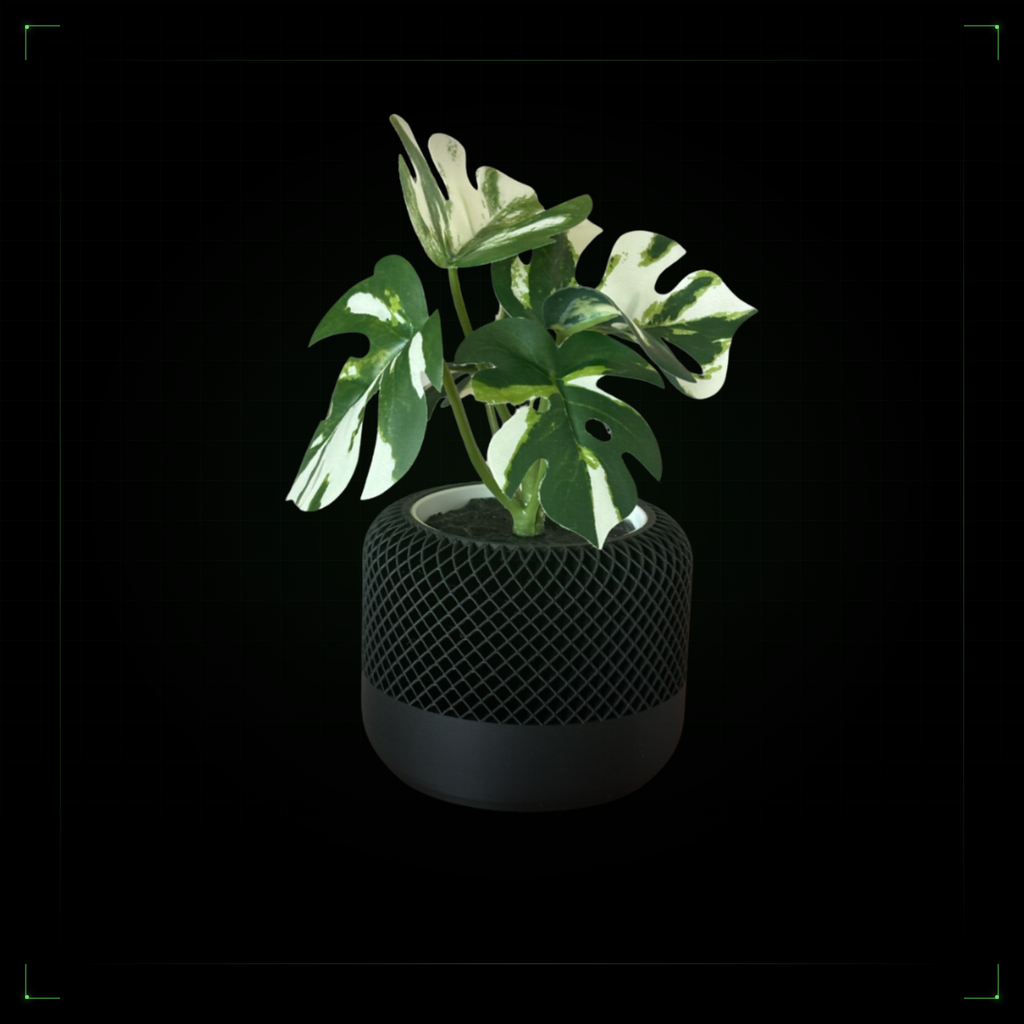 Mesh Planter