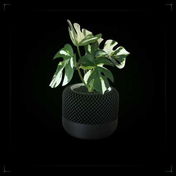 Mesh Planter