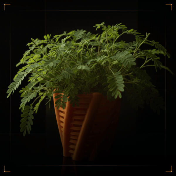 Twist Planter - nFusion